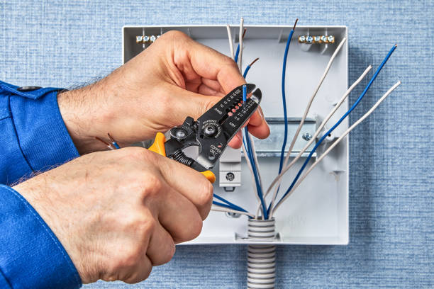 Best Electrical Remodeling Services  in Bull Valley, IL